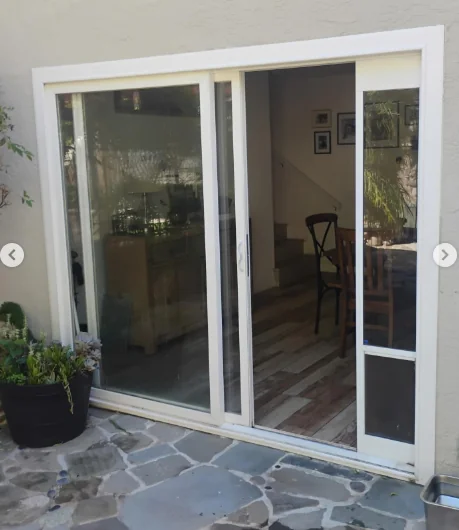 Older aluminum patio door with a separate dog-door panel before replacement
