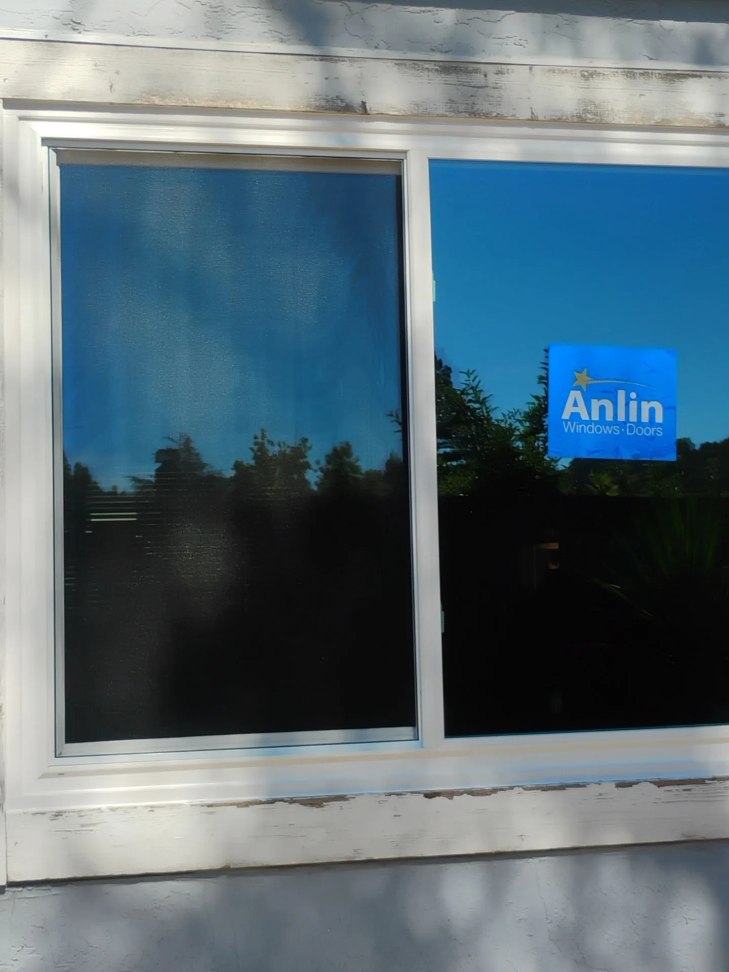 Anlin Catalina replacement windows after installation in Martinez CA — AMG Doors & Windows — photo 11 of 13