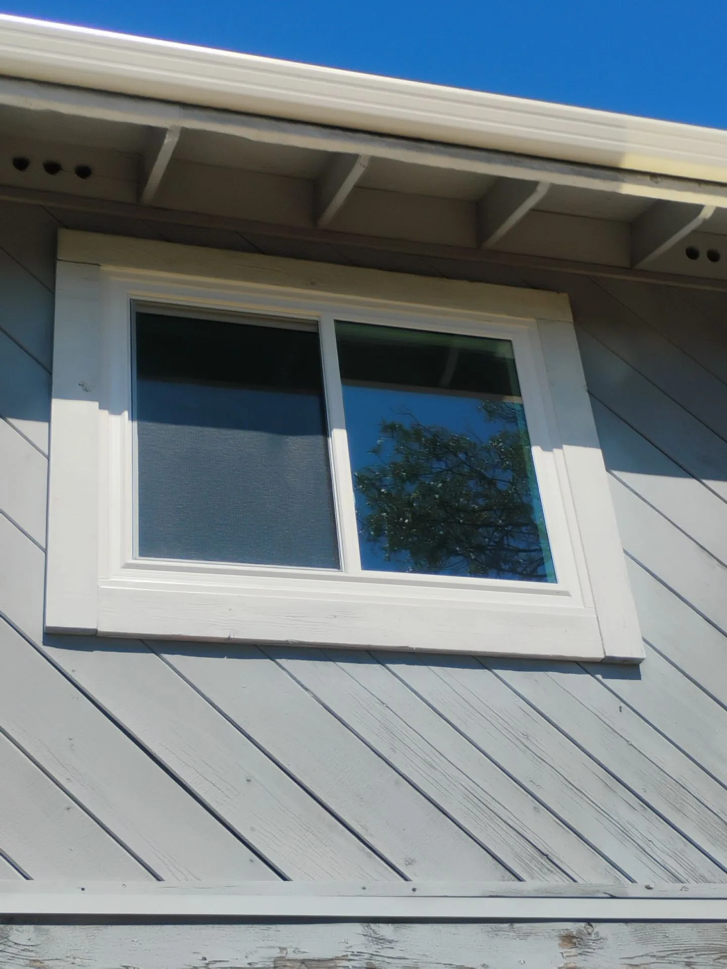 Anlin Catalina replacement windows after installation in Martinez CA — AMG Doors & Windows — photo 10 of 13