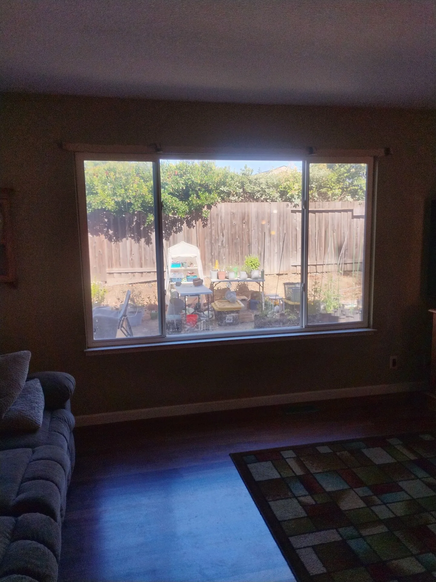 Old windows before replacement in Martinez CA — AMG Doors & Windows — photo 15 of 15