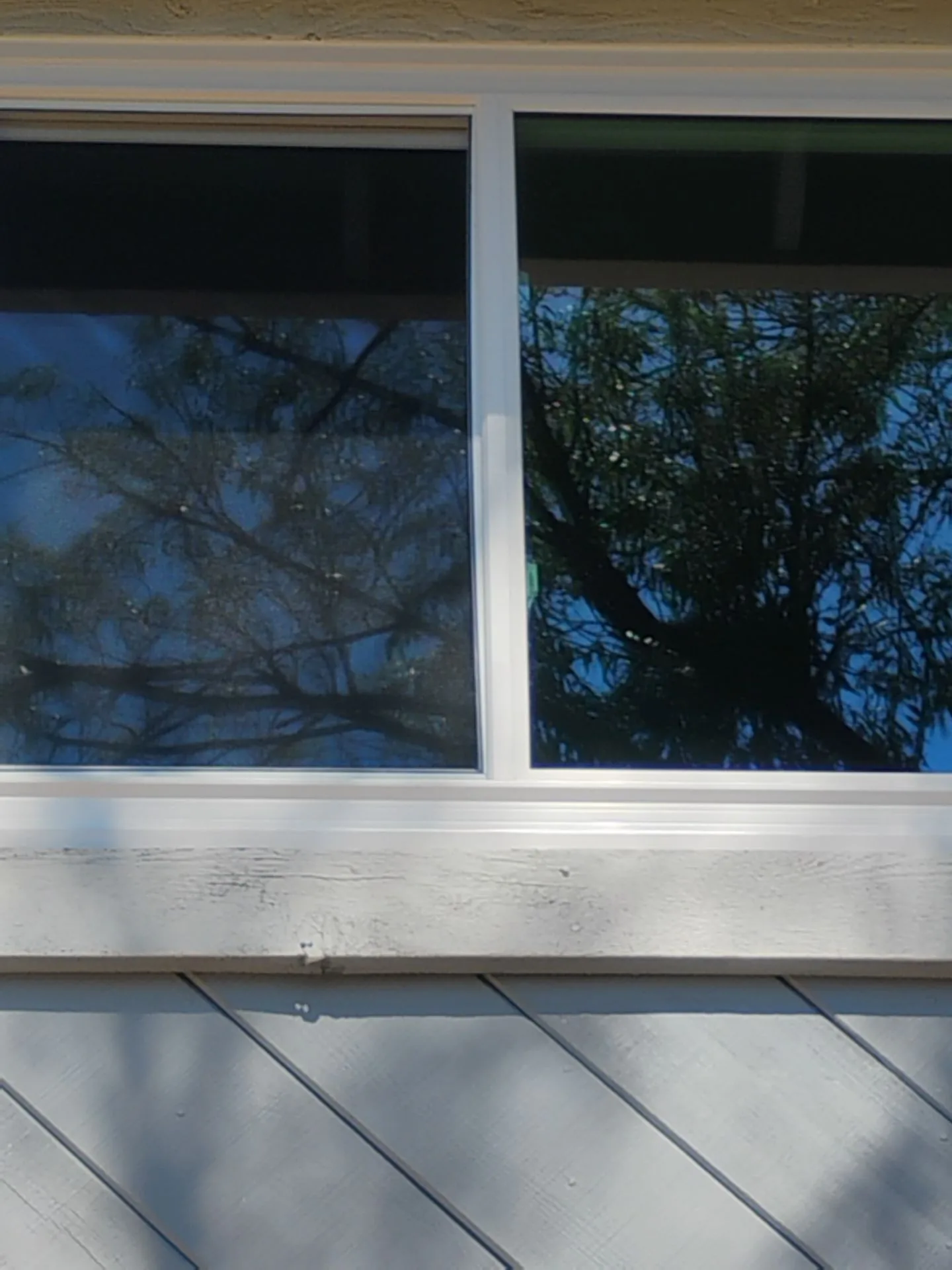 Anlin Catalina replacement windows after installation in Martinez CA — AMG Doors & Windows — photo 13 of 13
