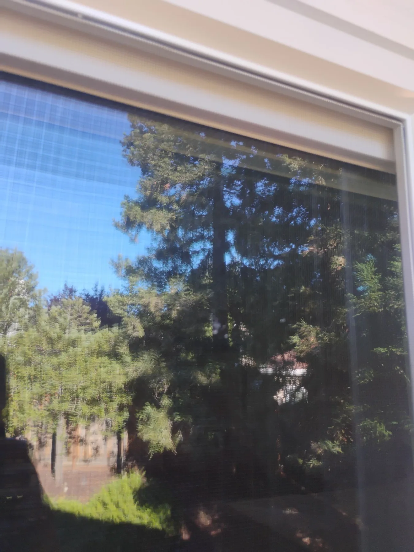 AMG Doors & Windows Anlin Panoramic window replacement in Danville, CA (after) (5/16)