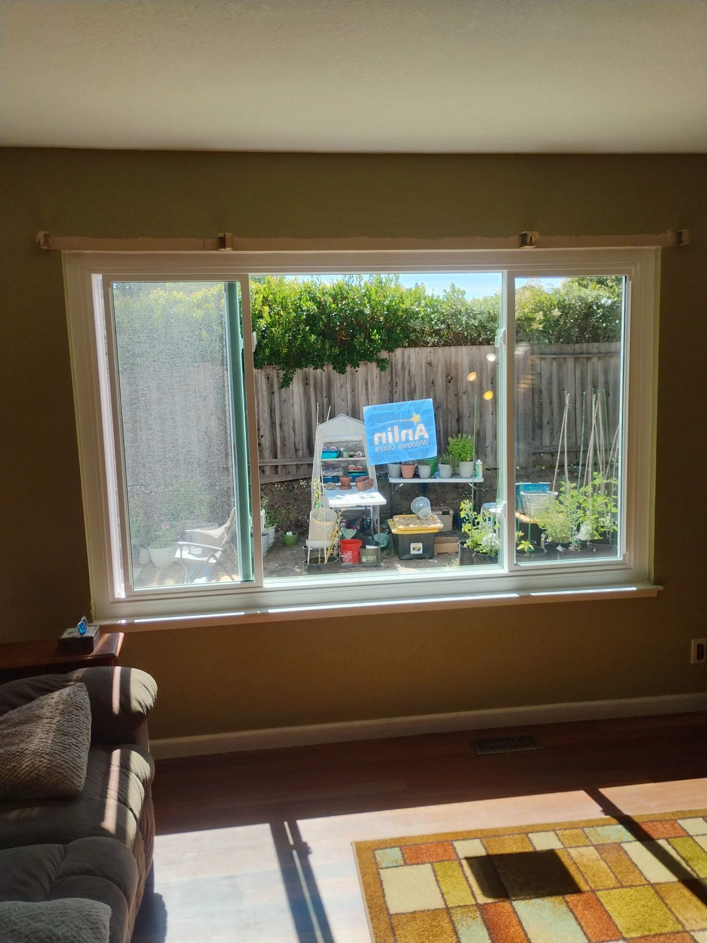 Anlin Catalina replacement windows after installation in Martinez CA — AMG Doors & Windows — photo 7 of 13