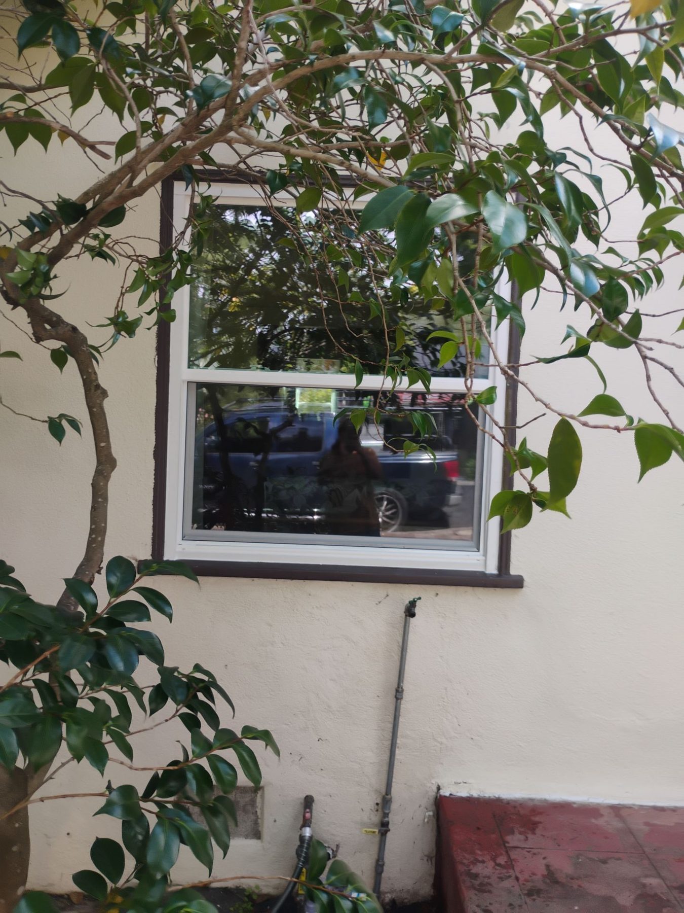 AMG Doors & Windows Anlin anlin window replacement in El Cerrito, CA (after) (15/21)