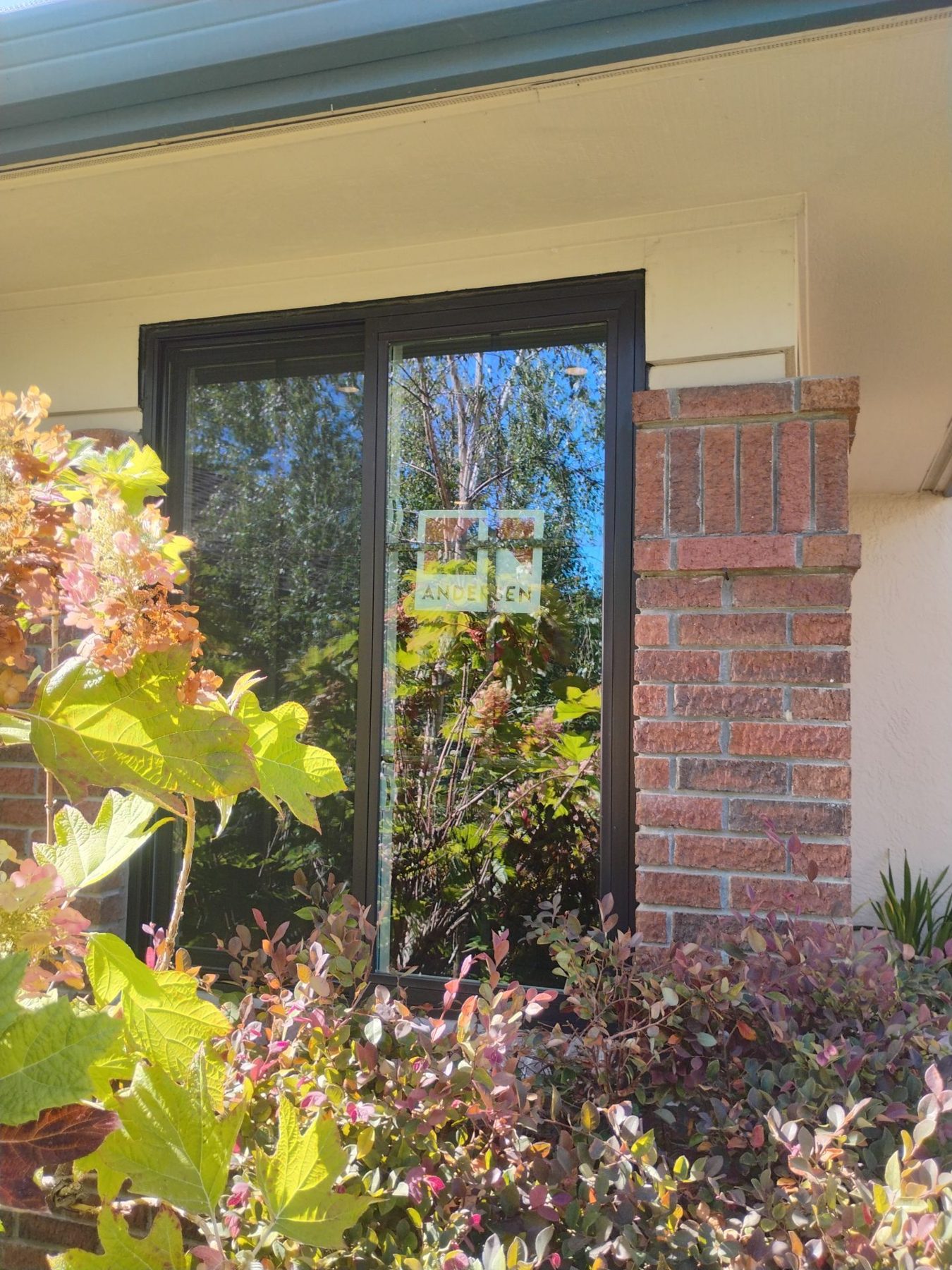 AMG Doors & Windows Andersen andersen 100 series window replacement in Danville, CA (after) (15/18)