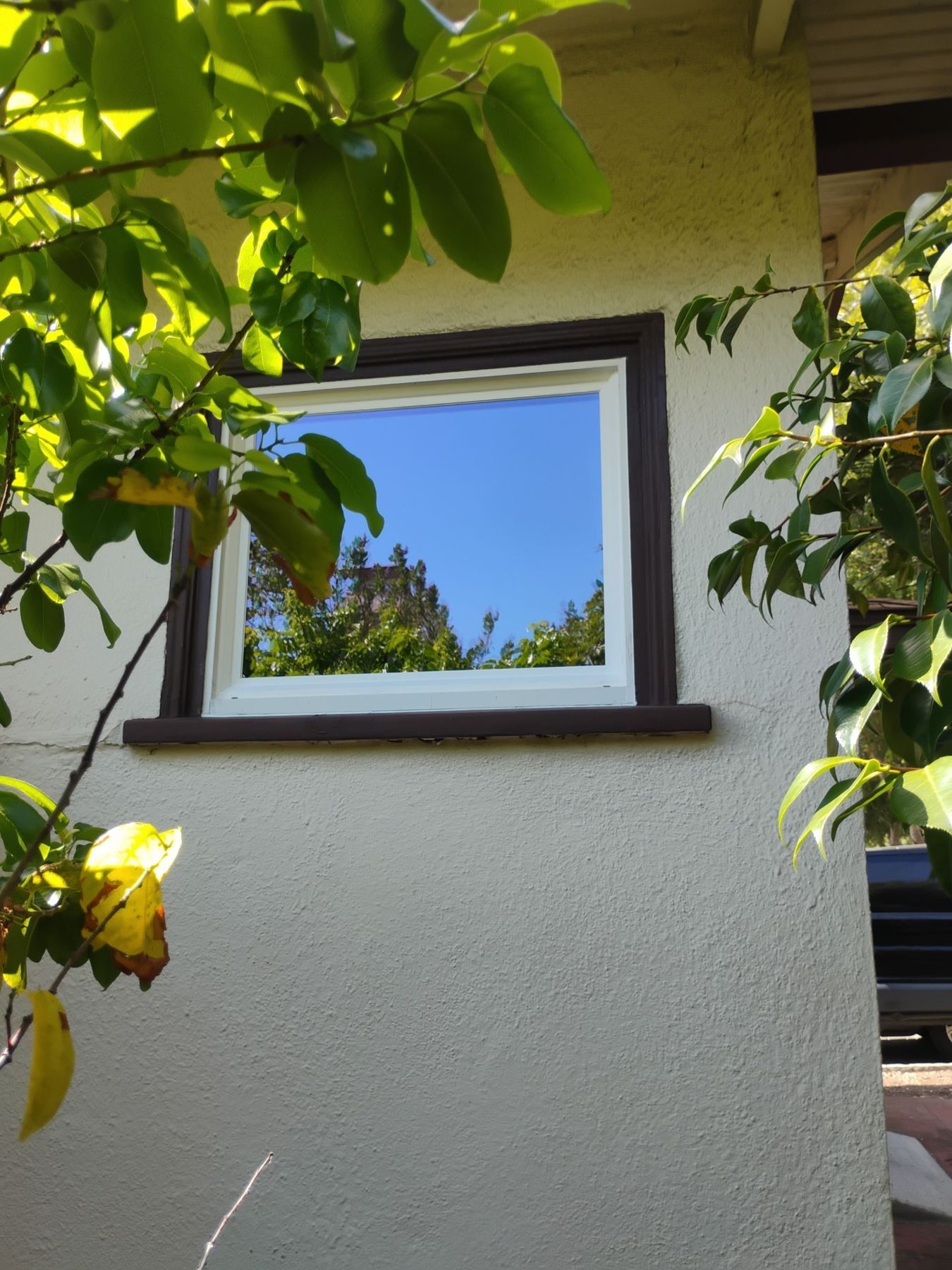 AMG Doors & Windows Anlin anlin window replacement in El Cerrito, CA (after) (16/21)