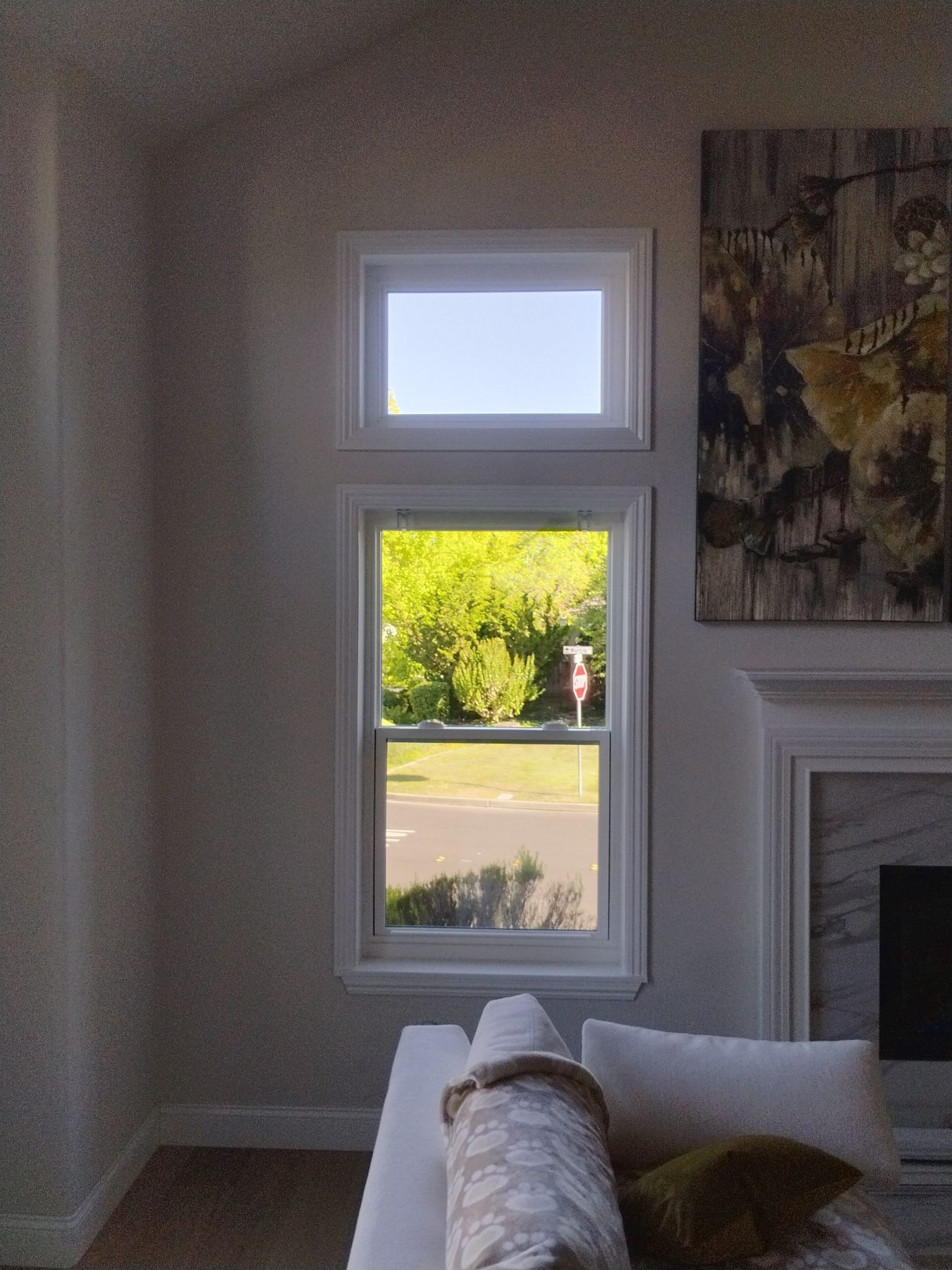 AMG Doors & Windows Anlin anlin window replacement in Danville, CA (after) (18/23)
