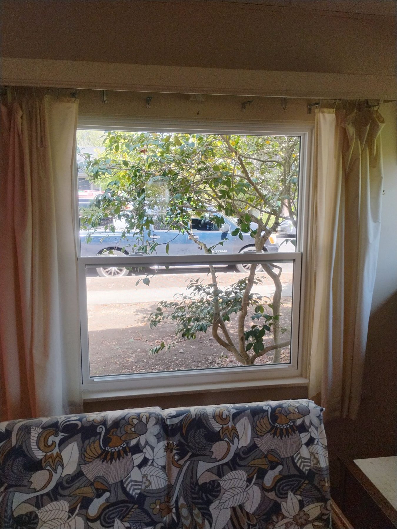 AMG Doors & Windows Anlin anlin window replacement in El Cerrito, CA (after) (18/21)