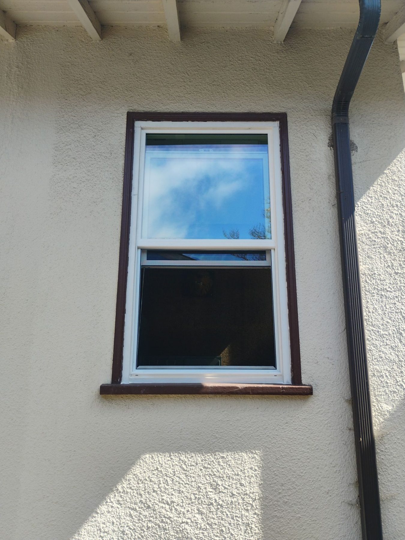 AMG Doors & Windows Anlin anlin window replacement in El Cerrito, CA (after) (20/21)