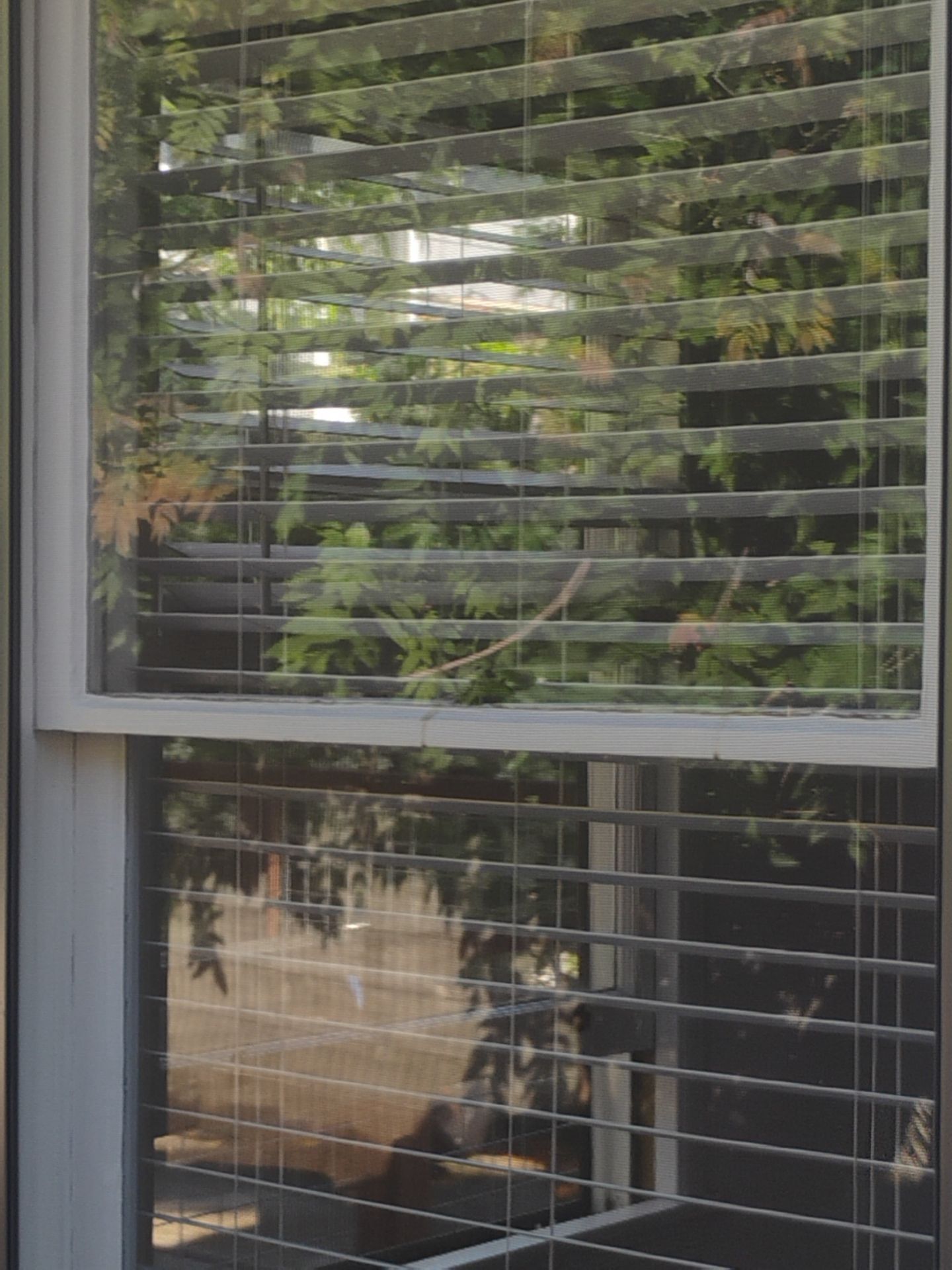 Window project in Fairfax, CA by AMG Doors & Windows — photo 23 of 33