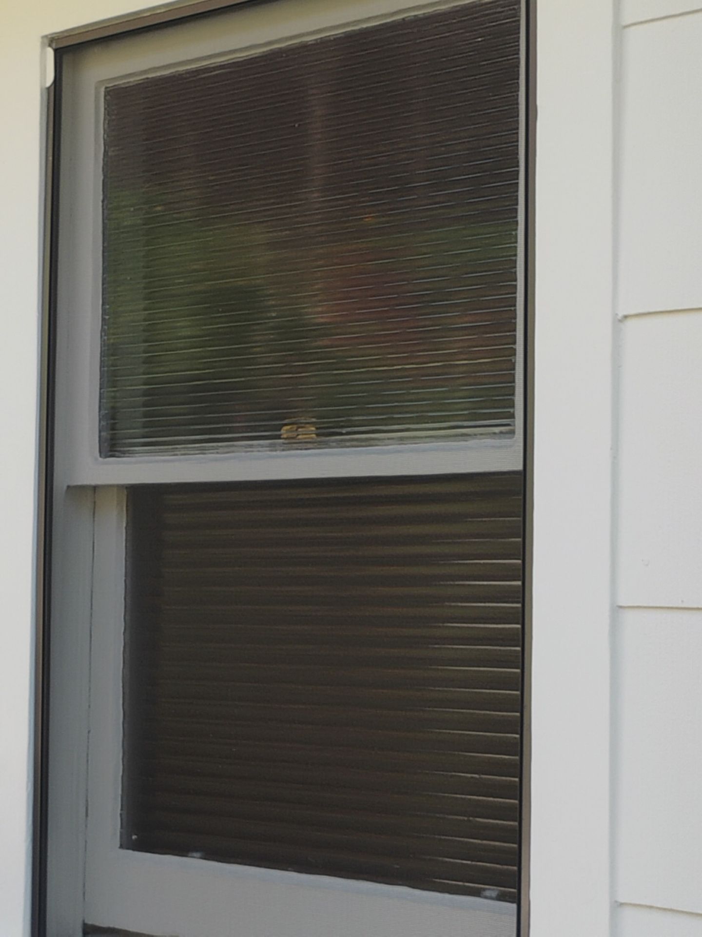 Window project in Fairfax, CA by AMG Doors & Windows — photo 24 of 33