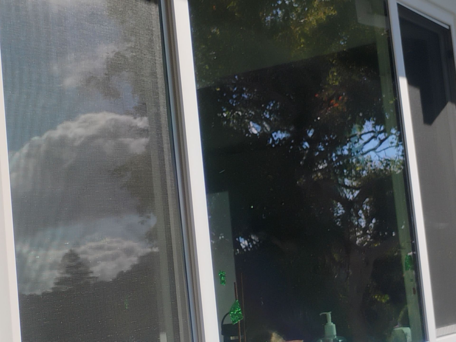 Window project in Fairfax, CA by AMG Doors & Windows — photo 26 of 33