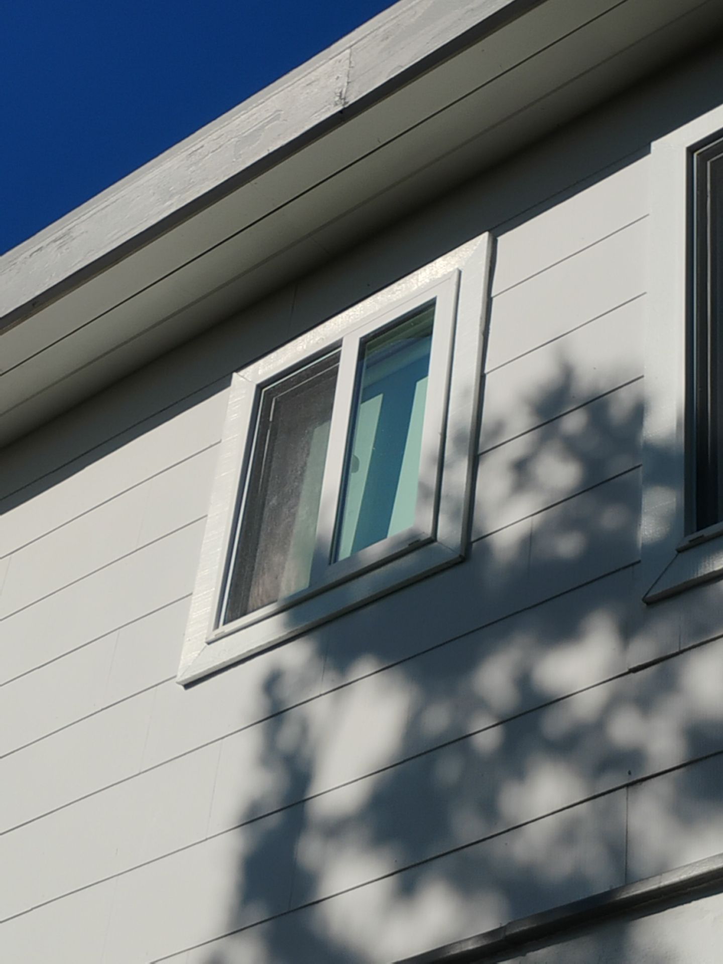 Window project in Fairfax, CA by AMG Doors & Windows — photo 29 of 33