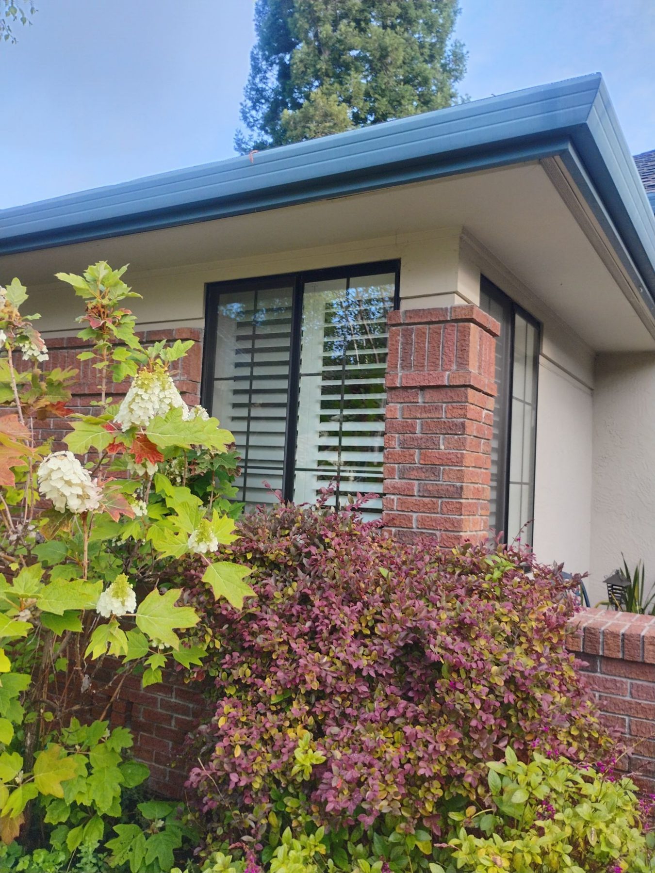 AMG Doors & Windows Andersen andersen 100 series window replacement in Danville, CA (before) (6/10)
