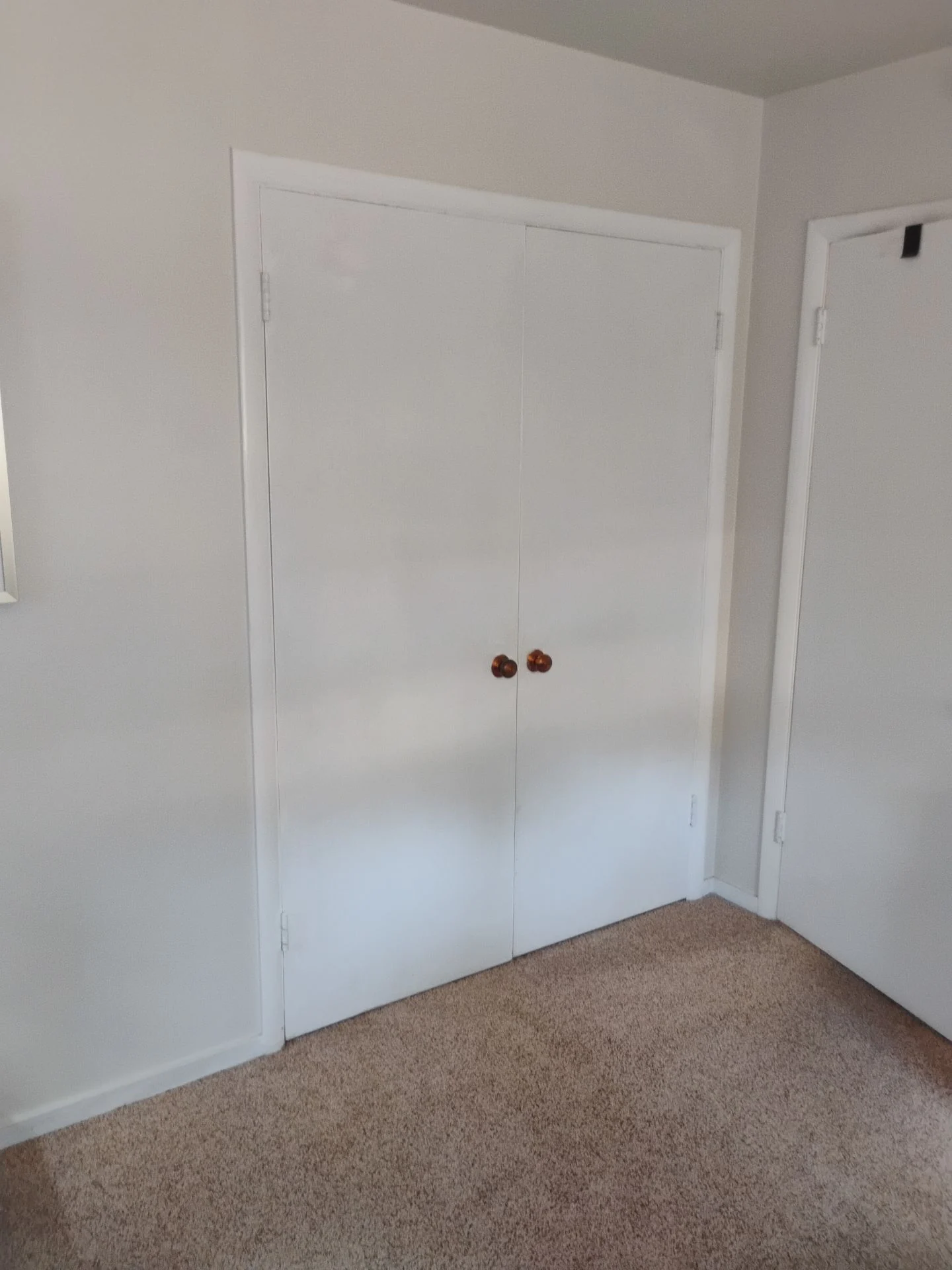 Before: second set of original bifold closet doors awaiting replacement in San Carlos, CA