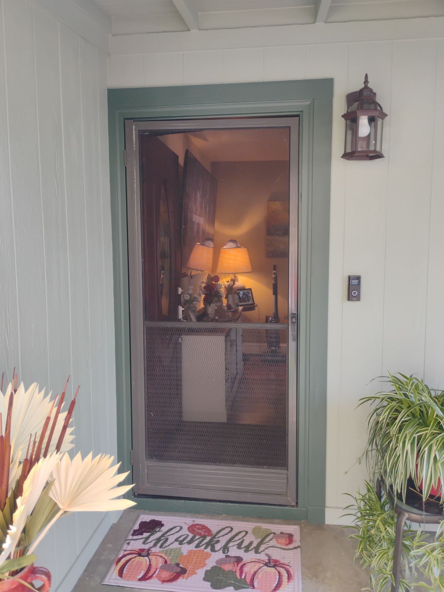 Bronze Titan Ultimate MeshTec full-view security screen door installed in Concord, CA