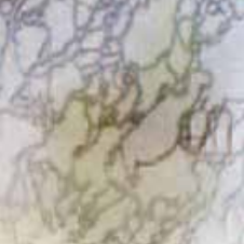 Anlin Delta Frost obscure glass