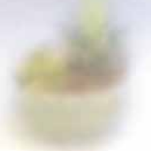 Anlin Etch Matte obscure glass
