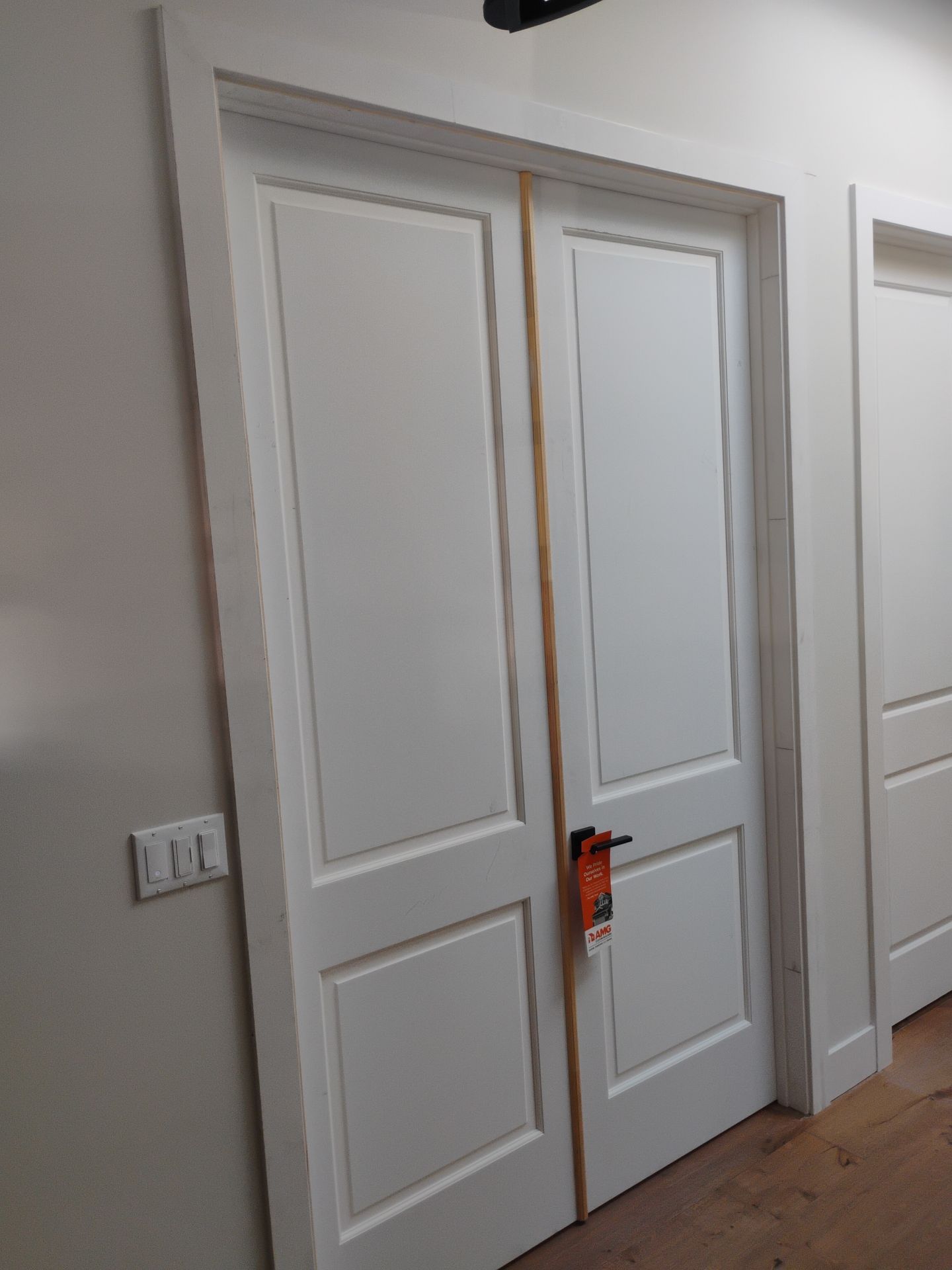 Front Door project in Bay Area, CA by AMG Doors & Windows — photo 4 of 4