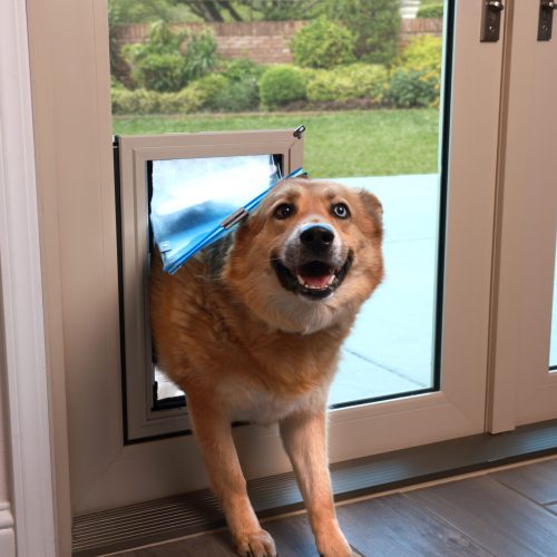 Patio door upgrade — in-glass pet doors