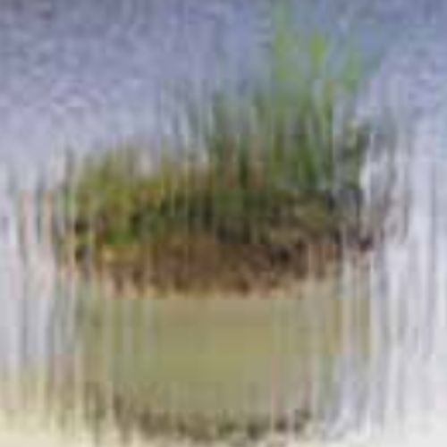 Anlin Rain obscure glass