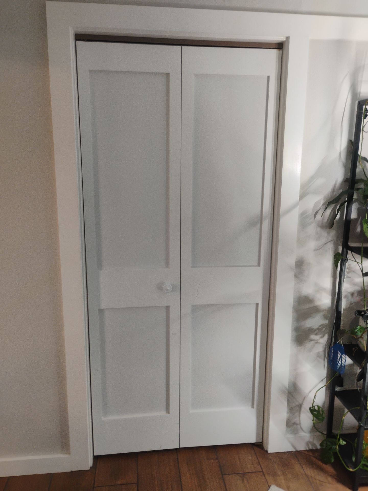 Recent interior door install — Sarah Taylor project — Bay Area, CA — installed by AMG Doors & Windows