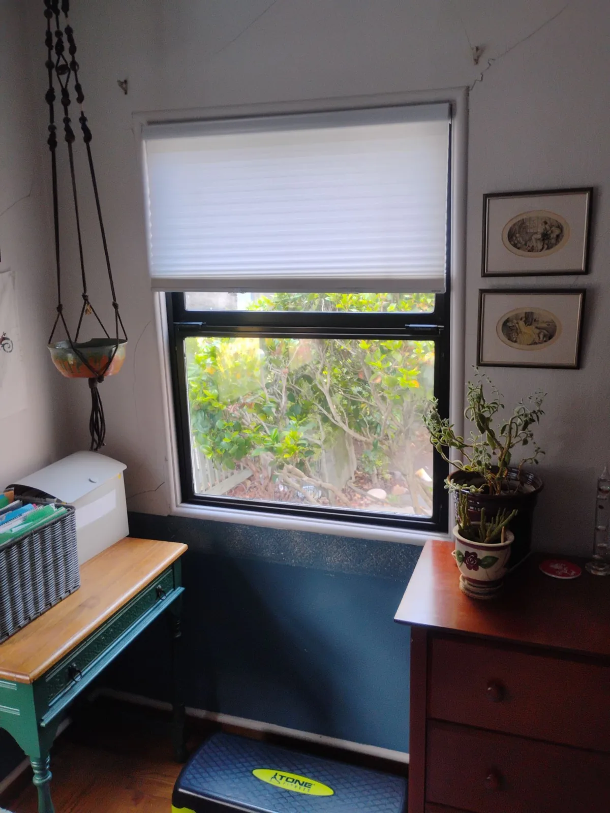 Natural light through a newly installed replacement window in a Martinez home