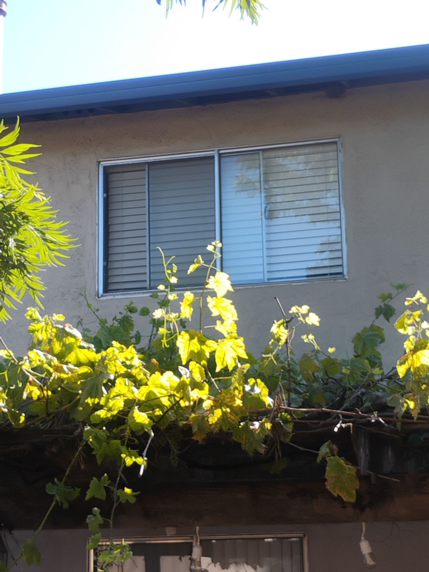Old foggy aluminum windows before replacement in Martinez CA — AMG Doors & Windows — photo 10 of 18