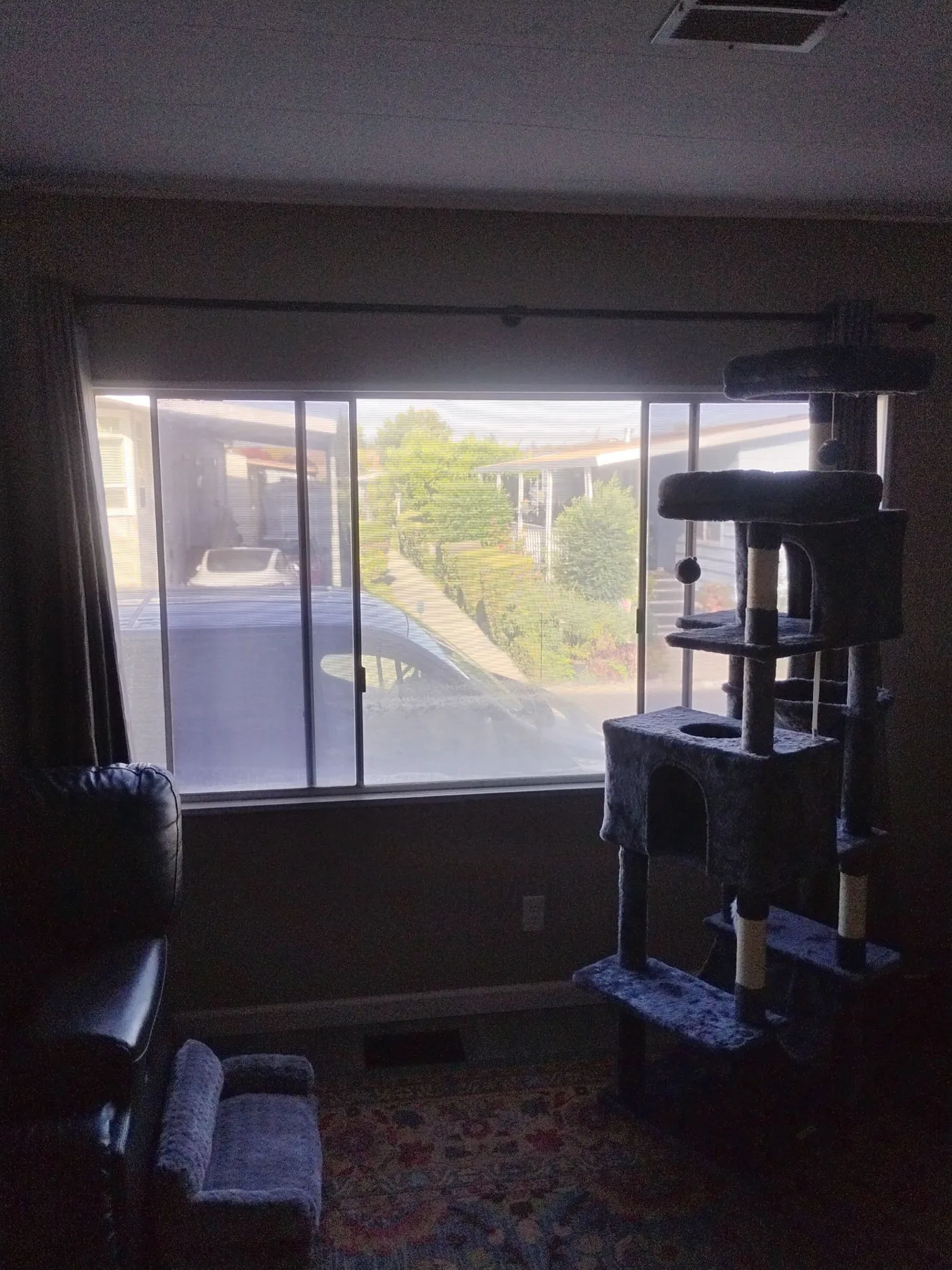 Living room replacement window in a San Jose home