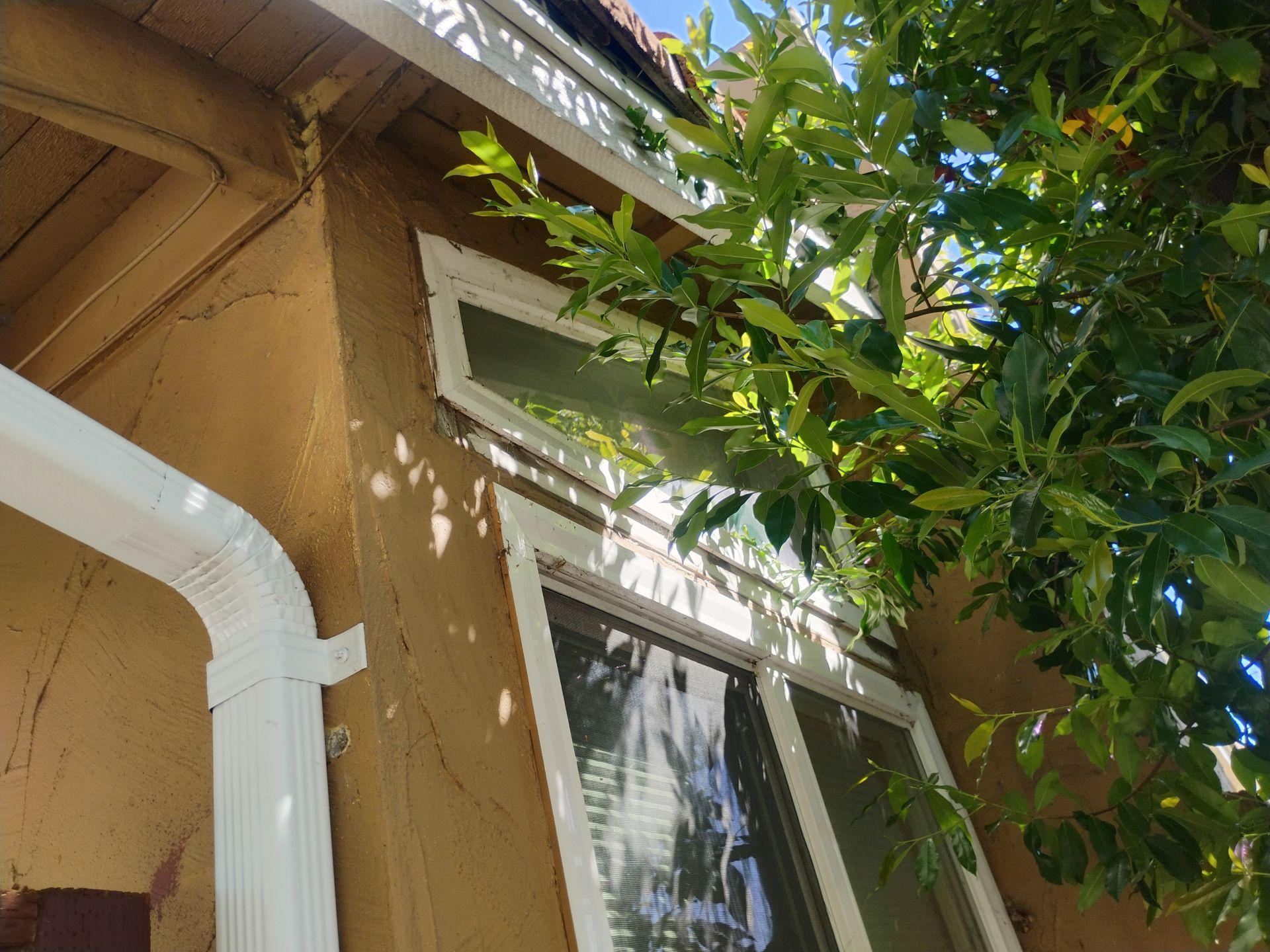 Geometric window before replacement — San Jose CA AMG Doors & Windows project — photo 6 of 15