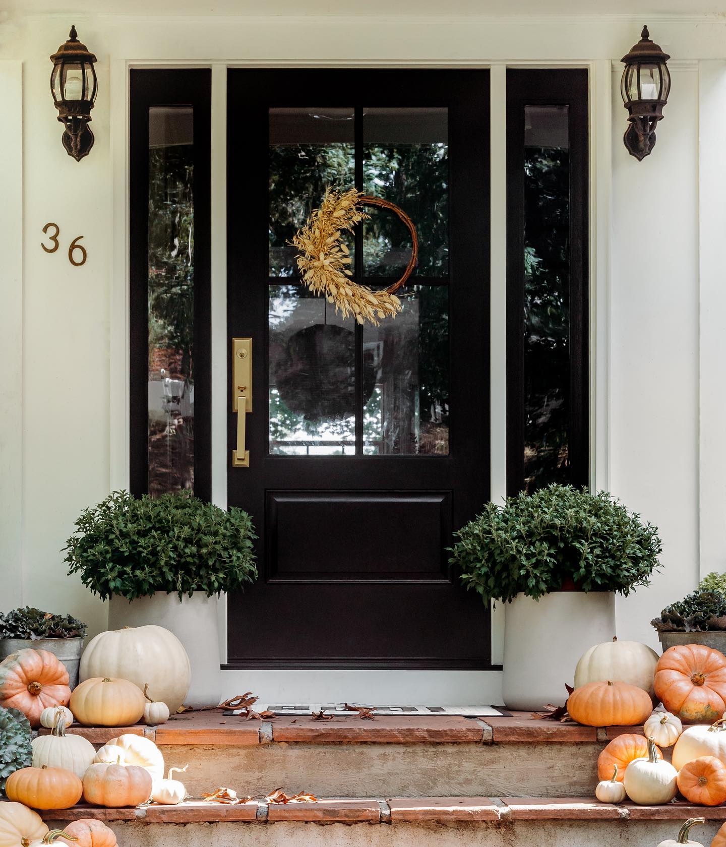 Therma-Tru entry door inspiration 24 — homeowner photo